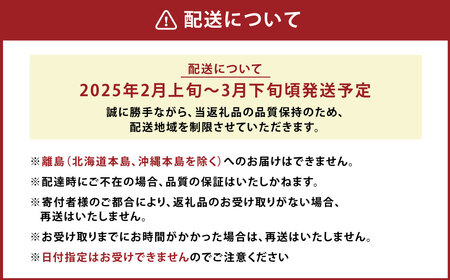 A159 【春】 あまおう 6パック いちご 【2025年2月上旬～3月下旬以降発送予定】