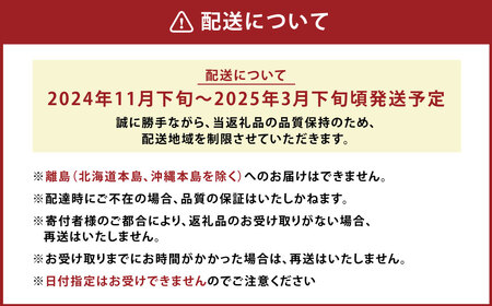 A161 【ギフト】 あまおう 24～30粒 いちご 【2024年11月下旬～2025年3月下旬発送予定】