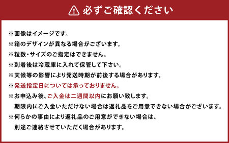 A161 【ギフト】 あまおう 24～30粒 いちご 【2024年11月下旬～2025年3月下旬発送予定】