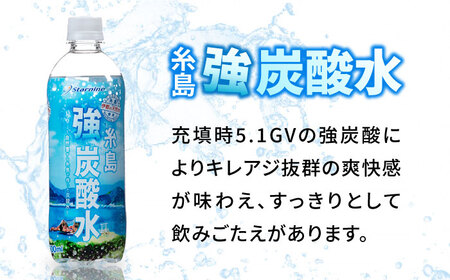 【全6回定期便】強炭酸水 プレーン 500ml × 24本  [ARM010] 炭酸水 定期便