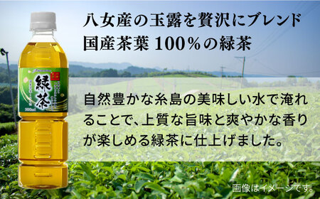 【全6回定期便】八女 玉露入り 緑茶 500ml × 24本  糸島市 / スターナイン お茶 ペットボトル [ARM016]