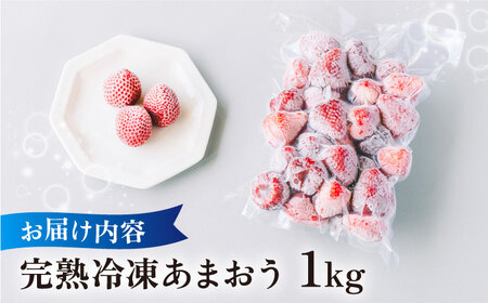 予約：2025年3月より順次発送】完熟冷凍あまおう 1kg 糸島市 / slowberry strawberry [APJ006] あまおう いちご  果物 | 福岡県糸島市 | ふるさと納税サイト「ふるなび」