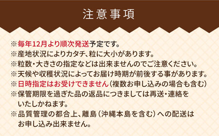 【先行予約】【全2回定期便】【2024年12月より順次発送】糸島産【冬】 あまおう 2パック 毎月計500g 糸島市 / 南国フルーツ株式会社 [AIK025]