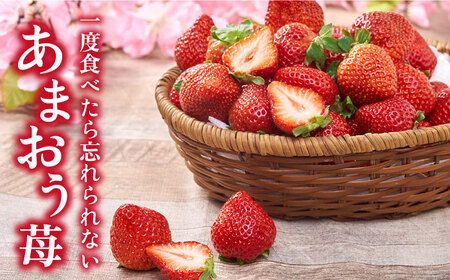 【先行予約】【全2回定期便】糸島産【春】 あまおう 4パック 計1kg 【2026年2月より順次発送】 糸島市 / 南国フルーツ株式会社 [AIK026]