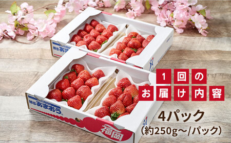 【先行予約】【全2回定期便】糸島産【春】 あまおう 4パック 計1kg 【2026年2月より順次発送】 糸島市 / 南国フルーツ株式会社 [AIK026]