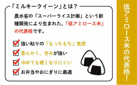 【 3回 定期便 】ミルキークイーン 10kg （ 5kg × 2袋 ）《糸島》【 玄米 ・ 精米 専門店 新飼宗一郎商店】 [ADE004]