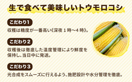 【先行予約】糸島 トウモロコシ 『もきっこ』 黄 （ 10本前後 ） 【2025年6月下旬以降順次発送】《糸島》 【内田農業】 [AZH001] とうもろこしとうもろこしとうもろこしとうもろこしとうもろこしとうもろこしとうもろこしとうもろこし