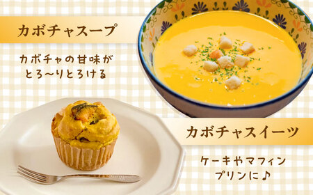 カボチャ 500g 冷凍 カット済み 旬の時期に急速冷凍 【福岡県糸島産】 糸島市 / オーガニックナガミツファーム 野菜 南瓜 かぼちゃ 	[AGE041]