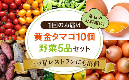 【全3回定期便】糸島の朝産み黄金タマゴ10個 朝どれ新鮮野菜5品 セット【福岡県糸島産】 糸島市 / オーガニックナガミツファーム 玉子 やさい 	[AGE047]