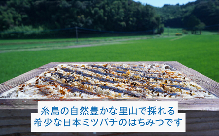 【希少】にほんみつばちの 生 ハチミツ 110g×1本 糸島市 / kibitoa [AIN004]