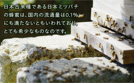 【希少】にほんみつばちの 生 ハチミツ 110g×1本 糸島市 / kibitoa [AIN004]