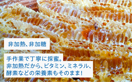 【希少】にほんみつばちの 生 ハチミツ 110g×1本 糸島市 / kibitoa [AIN004]