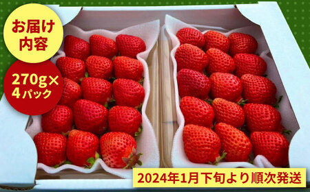 農家直送 朝採り新鮮いちご【博多あまおう】約270g×4パック 糸島市