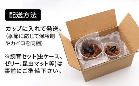 最終価格Ü ☆Handmade☆名古屋帯 『nature✖️animal（BK）』 Ü ☆Handmade☆名古屋帯 『nature✖️animal（ブラック）』