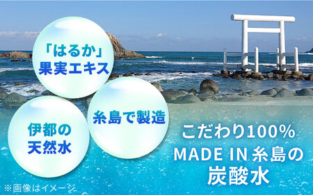 糸島はるかの炭酸水 500ml×24本入り 糸島市 / スターナイン ペットボトル 24本 常温 [ARM021]