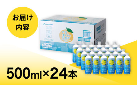 糸島はるかの炭酸水 500ml×24本入り 糸島市 / スターナイン ペットボトル 24本 常温 [ARM021]