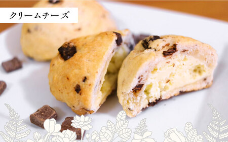 スコーン 食べ比べ 10個 糸島市 / Sweets Cafe egao Itoshima 焼菓子 スイーツ [AAO001]