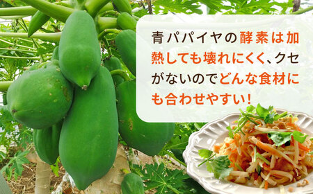 糸島産 青パパイヤ 約5kg 糸島市 / 食と健康のブリッジベース 野菜 タイ料理 [ANN001]