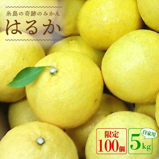 【先行予約】爽やか に甘い！ 糸島産 「 はるか 」  自家用 約 5kg 【2026年3月より順次発送】二丈赤米産直センター [ABB023]