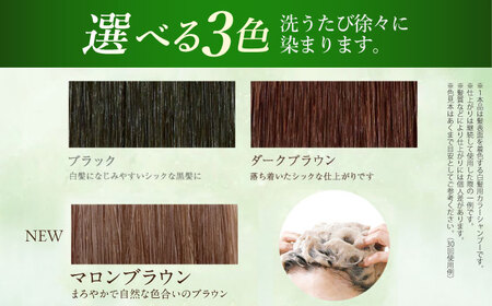 【全6回定期便】［白髪用］利尻炭酸カラーシャンプー 糸島市 / 株式会社ピュール ヘアケア シャンプー [AZA049]