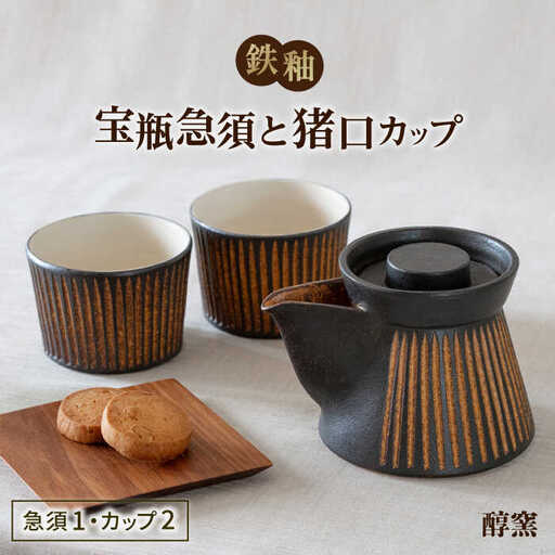 鉄釉 宝瓶急須と猪口カップ 2個セット 糸島市 / 醇窯 セット カップ [AOE010]