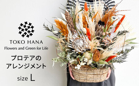 プロテアのアレンジメント（Lサイズ） 糸島市 / tokohana ドライフラワー アレンジ [AOC037]