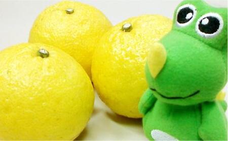 爽やか に 甘い ！ 糸島産 「 はるか 」  お試し用 約 3kg 【2026年3月より順次発送】二丈赤米産直センター [ABB003]