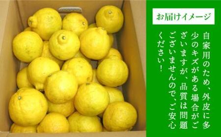 爽やか に 甘い ！ 糸島産 「 はるか 」  お試し用 約 3kg 【2026年3月より順次発送】二丈赤米産直センター [ABB003]