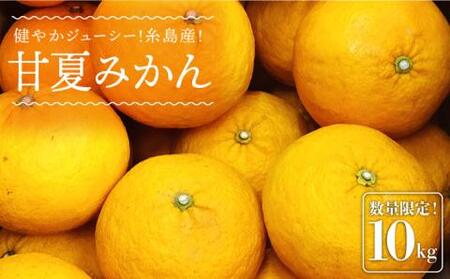 先行予約】健やかジューシー・夏の味 糸島産甘夏みかんM〜L玉・約10kg
