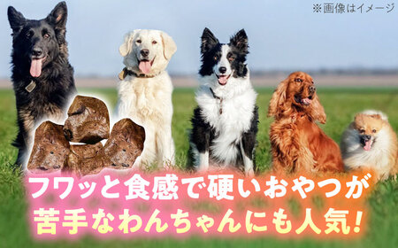 わんこのおやつ（犬）無添加手づくり 馬肺ジャーキー5袋 糸島市 / mogmog factory [AXO004] 10000円 1万円 1万円以下 ペット おやつ