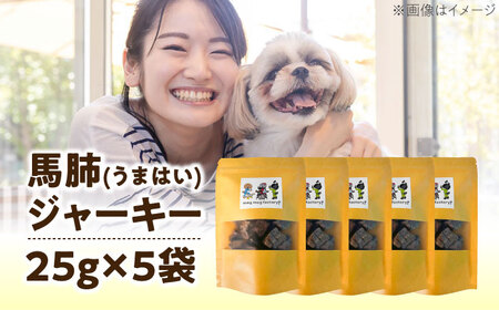 わんこのおやつ（犬）無添加手づくり 馬肺ジャーキー5袋 糸島市 / mogmog factory [AXO004] 10000円 1万円 1万円以下 ペット おやつ