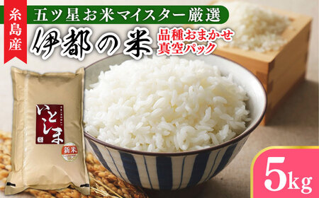 【長期保存可能】 五ツ星お米マイスターが厳選 品種おまかせ 白米 5kg 糸島市 / 米屋納富 [ARL005]