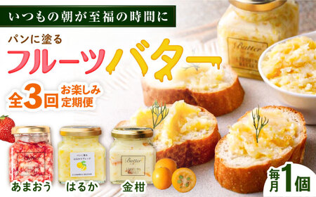 【全3回定期便】お楽しみ定期便 フルーツバター大1個 糸島市 / 糸島正キ ジャム クリーム 果物 [AQA062]