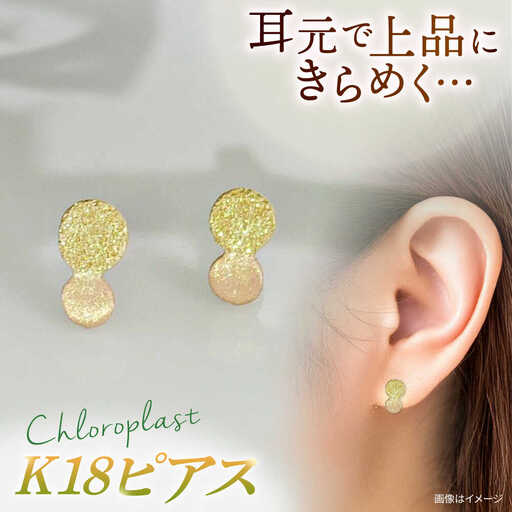 K18 まる ピアス ダイヤタガネ 糸島市 / Chloroplast / クロロプラスト ジュエリー [ALF013]