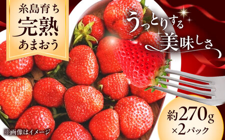 【先行予約】福岡県 糸島市産 完熟 あまおう いちご （約270g×2パック） 【2026年4月以降順次発送】 糸島市 / mhshops / 苺 イチゴ[AKQ001]