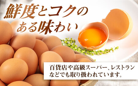 【全12回定期便】てつやとのりこの玉子 【 20個 】 糸島市 / 板垣ファーム 卵 たまご 鶏卵[AWD018]