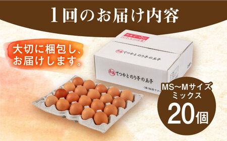 【全12回定期便】てつやとのりこの玉子 【 20個 】 糸島市 / 板垣ファーム 卵 たまご 鶏卵[AWD018]