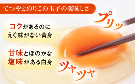 【全12回定期便】てつやとのりこの玉子 【 40個 】 糸島市 / 板垣ファーム 卵 たまご 鶏卵[AWD022]