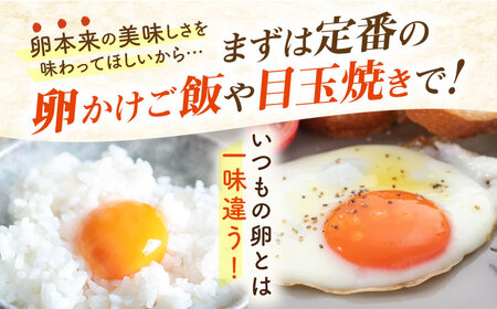【全12回定期便】てつやとのりこの玉子 【 40個 】 糸島市 / 板垣ファーム 卵 たまご 鶏卵[AWD022]