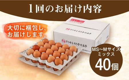 【全12回定期便】てつやとのりこの玉子 【 40個 】 糸島市 / 板垣ファーム 卵 たまご 鶏卵[AWD022]