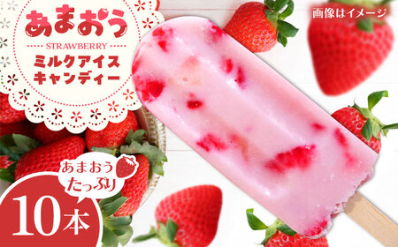 あまおう ミルク アイス キャンディ 10本 糸島市 / 磯本農園 TANNAL[ATB035] 4,050円