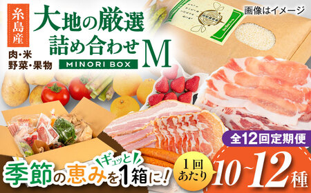 【全12回定期便】糸島産 肉 米 野菜 果物 厳選詰め合わせ MINORI BOX Mサイズ 糸島市 / emma.Inc / 米 肉 野菜 果物 詰め合わせ[AOP014]