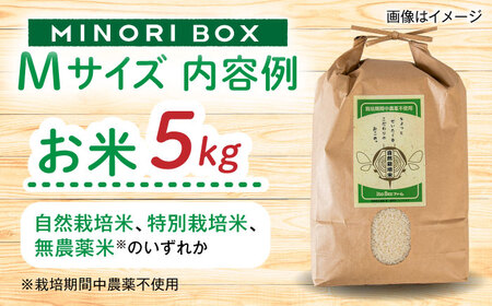 【全12回定期便】糸島産 肉 米 野菜 果物 厳選詰め合わせ MINORI BOX Mサイズ 糸島市 / emma.Inc / 米 肉 野菜 果物 詰め合わせ[AOP014]