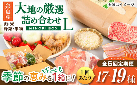 【全6回定期便】糸島産 肉 米 野菜 果物 厳選詰め合わせ MINORI BOX Lサイズ 糸島市 / emma.Inc / 米 肉 野菜 果物 詰め合わせ[AOP017]
