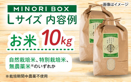 【全6回定期便】糸島産 肉 米 野菜 果物 厳選詰め合わせ MINORI BOX Lサイズ 糸島市 / emma.Inc / 米 肉 野菜 果物 詰め合わせ[AOP017]