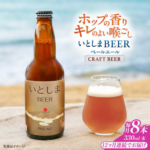 【全12回定期便】いとしまBEER (ペールエール) 330ml×8本 糸島市 / 蔵屋 クラフトビール[AUA055]