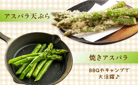 アスパラガス 800g 冷凍 カット済み 旬の時期に急速冷凍 【福岡県糸島産】 糸島市 / オーガニックナガミツファーム 野菜 アスパラ[AGE050]