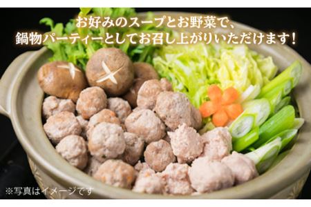 自家製 つみれ 鍋 セット （華豚 / 華味鳥） 計2.6kg 《糸島》 【糸島ミートデリ工房】 [ACA100]