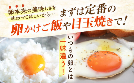 【50個】黄身にコク！白身に甘み！てつやとのりこの玉子 板垣ファーム [AWD002]