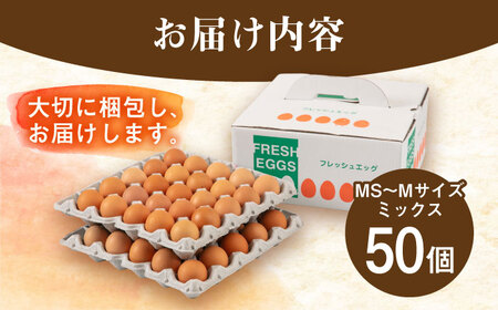 【50個】黄身にコク！白身に甘み！てつやとのりこの玉子 板垣ファーム [AWD002]